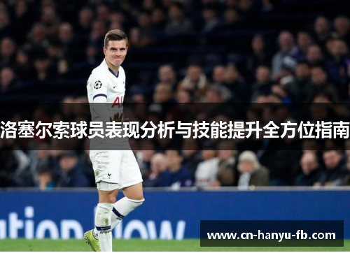 洛塞尔索球员表现分析与技能提升全方位指南 洛塞尔索球员表现分析与技能提升全方位指南