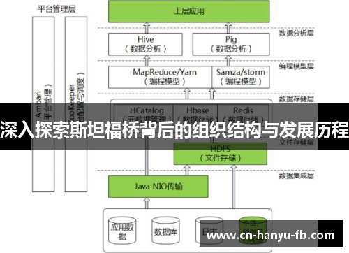 深入探索斯坦福桥背后的组织结构与发展历程 深入探索斯坦福桥背后的组织结构与发展历程