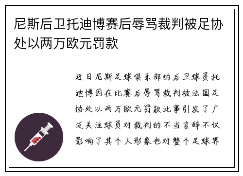 尼斯后卫托迪博赛后辱骂裁判被足协处以两万欧元罚款