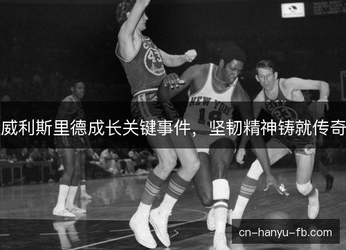 威利斯里德成长关键事件，坚韧精神铸就传奇